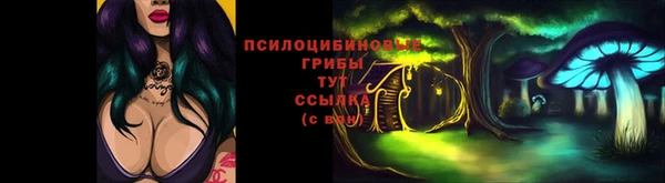 гидропоника Бронницы