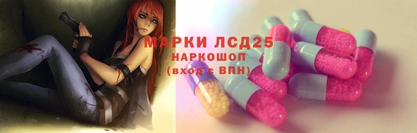 метадон Богданович