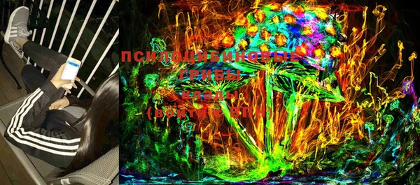 метадон Богданович
