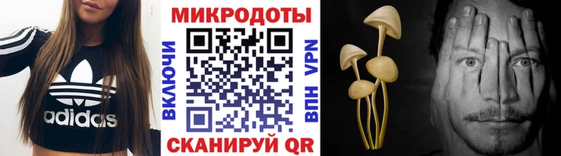 Псилоцибиновые грибы Cubensis Себеж