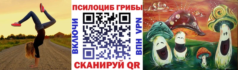 Купить закладки  Себеж  Галлюциногенные грибы Magic Shrooms 