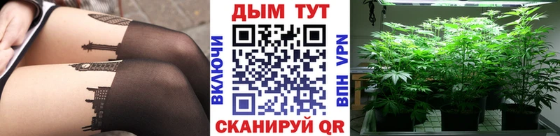 Бошки Шишки планчик  Купить где  Себеж 